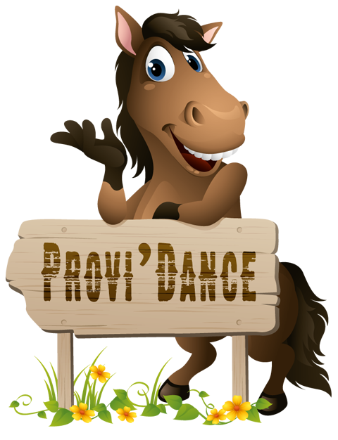 Organisateur : PROVI'DANCE